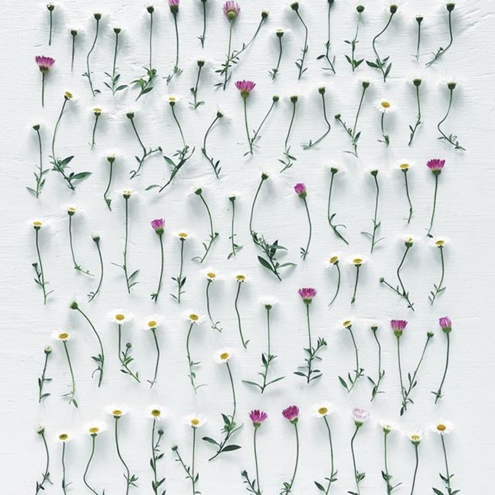 Meet your Posher, Ava